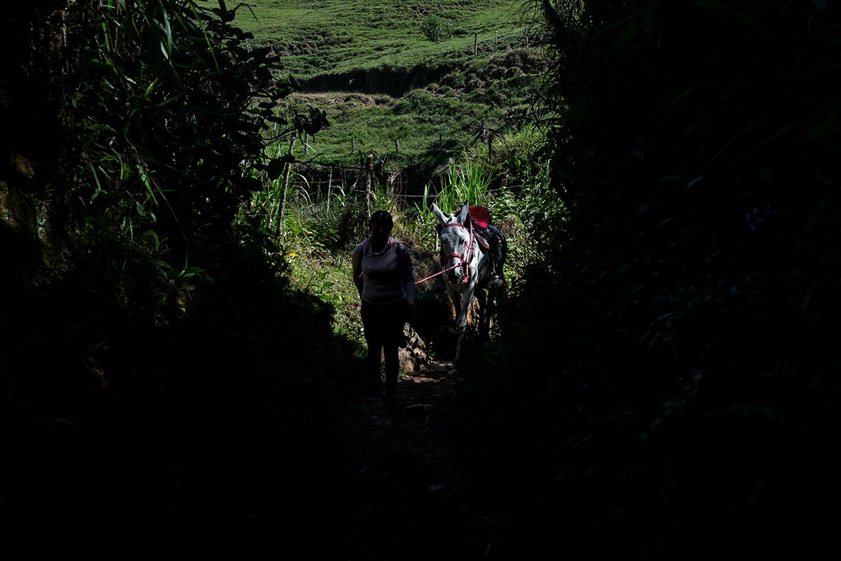 El renacer de una comunidad